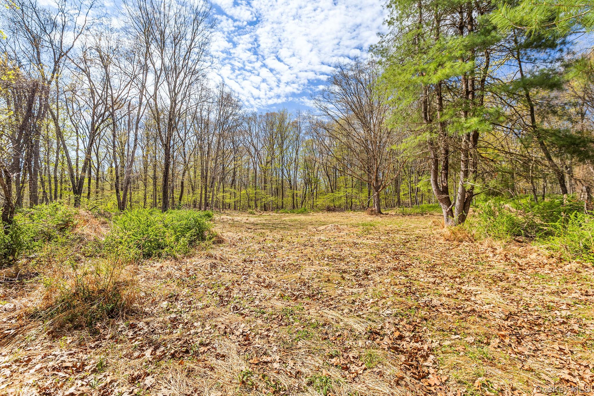 224 Union Center Road Ulster Park, NY 12487 - Photo 2 of 9
