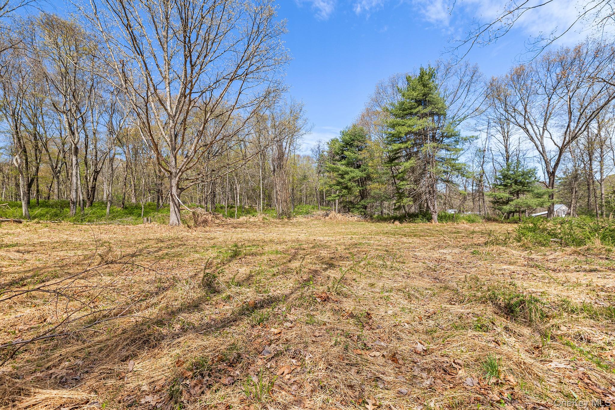 224 Union Center Road Ulster Park, NY 12487 - Photo 3 of 9