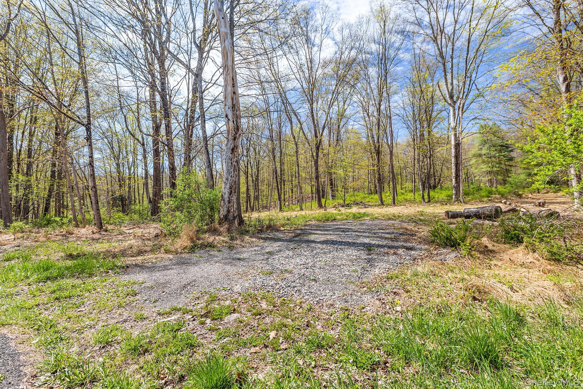 224 Union Center Road Ulster Park, NY 12487 - Photo 4 of 9