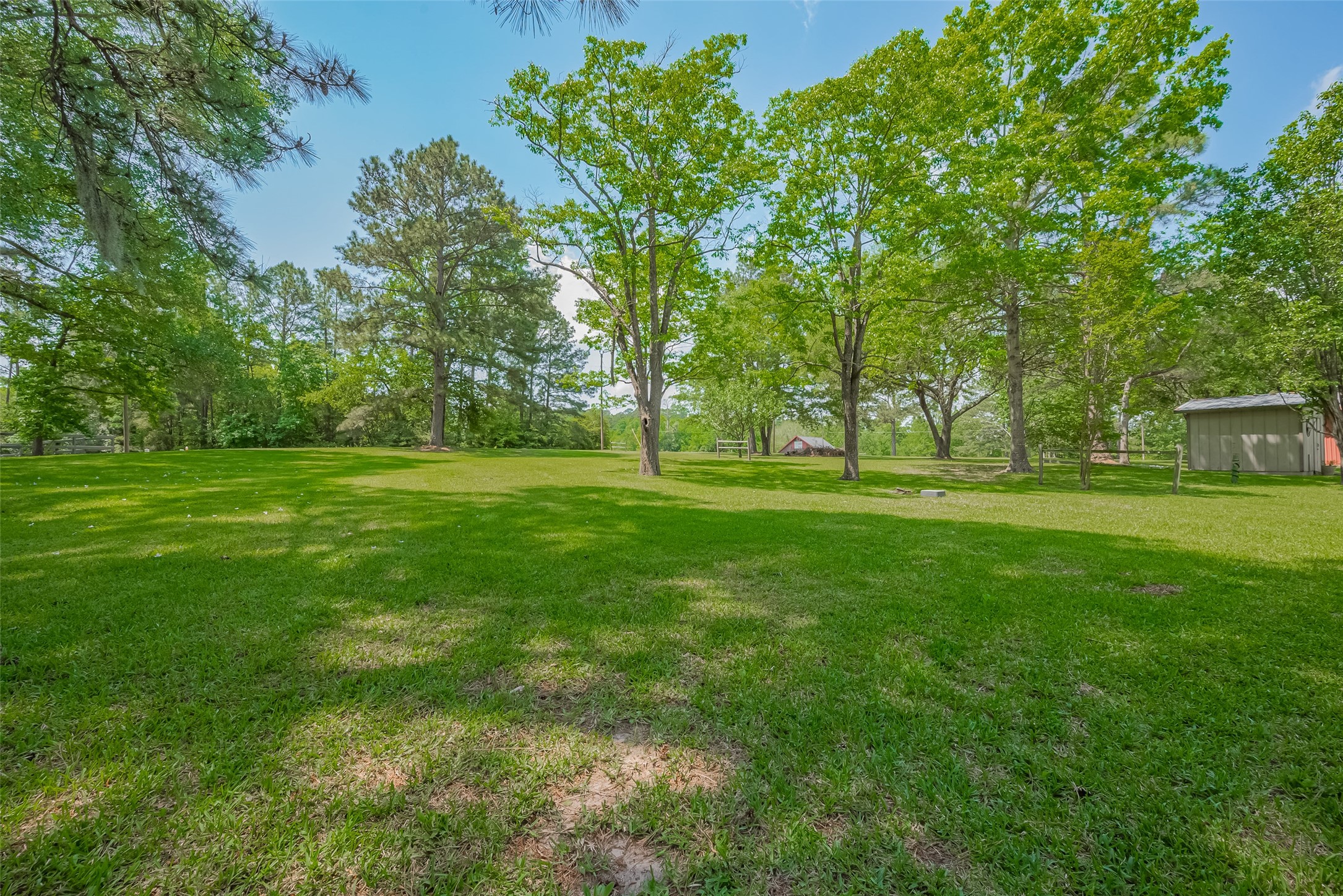 780 Hickory Ridge Drive Coldspring, TX 77331 - Photo 44 of 50 a view of a grassy field with trees