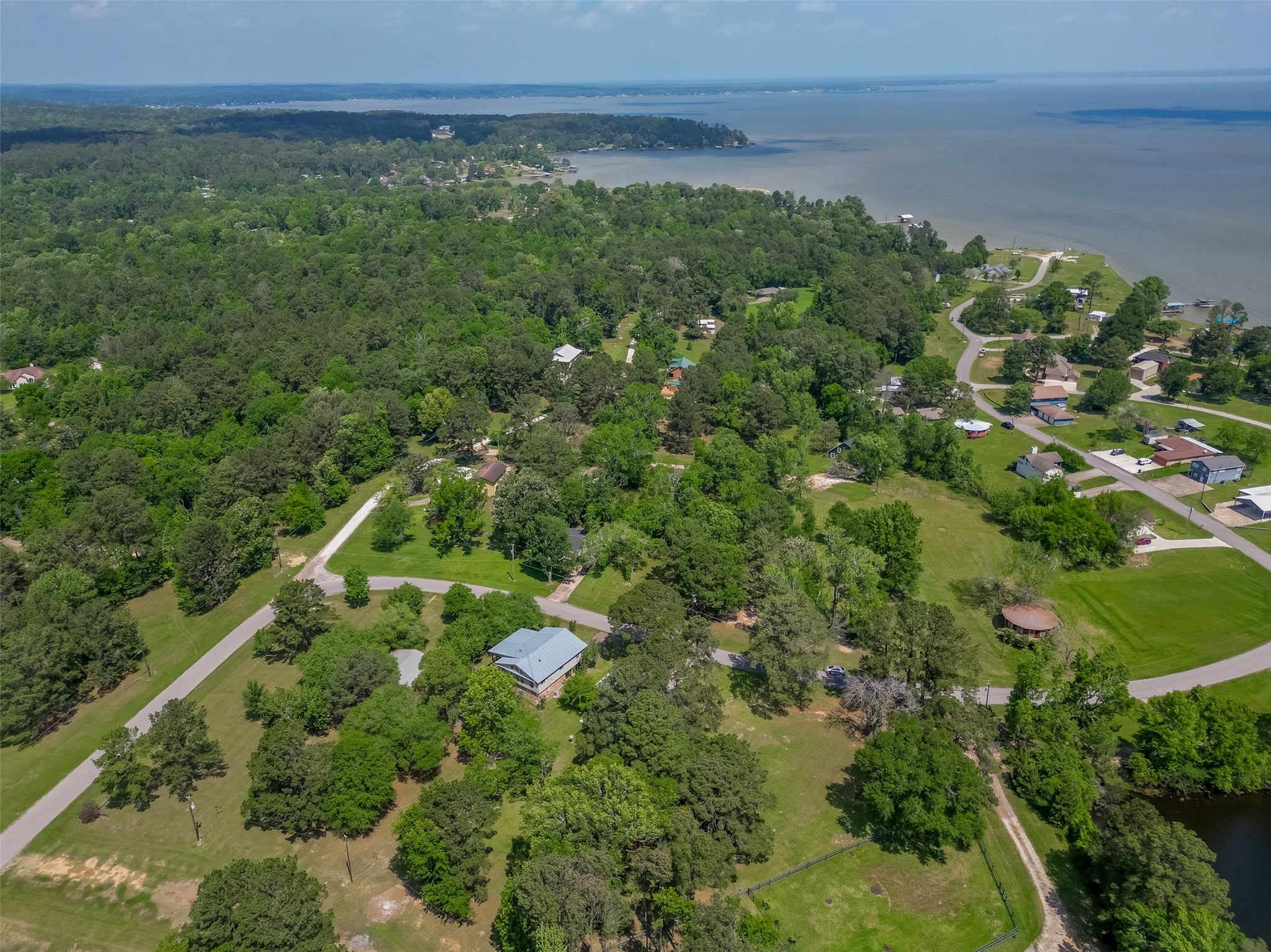 780 Hickory Ridge Drive Coldspring, TX 77331 - Photo 47 of 50 a view of a lush green forest with lots of trees