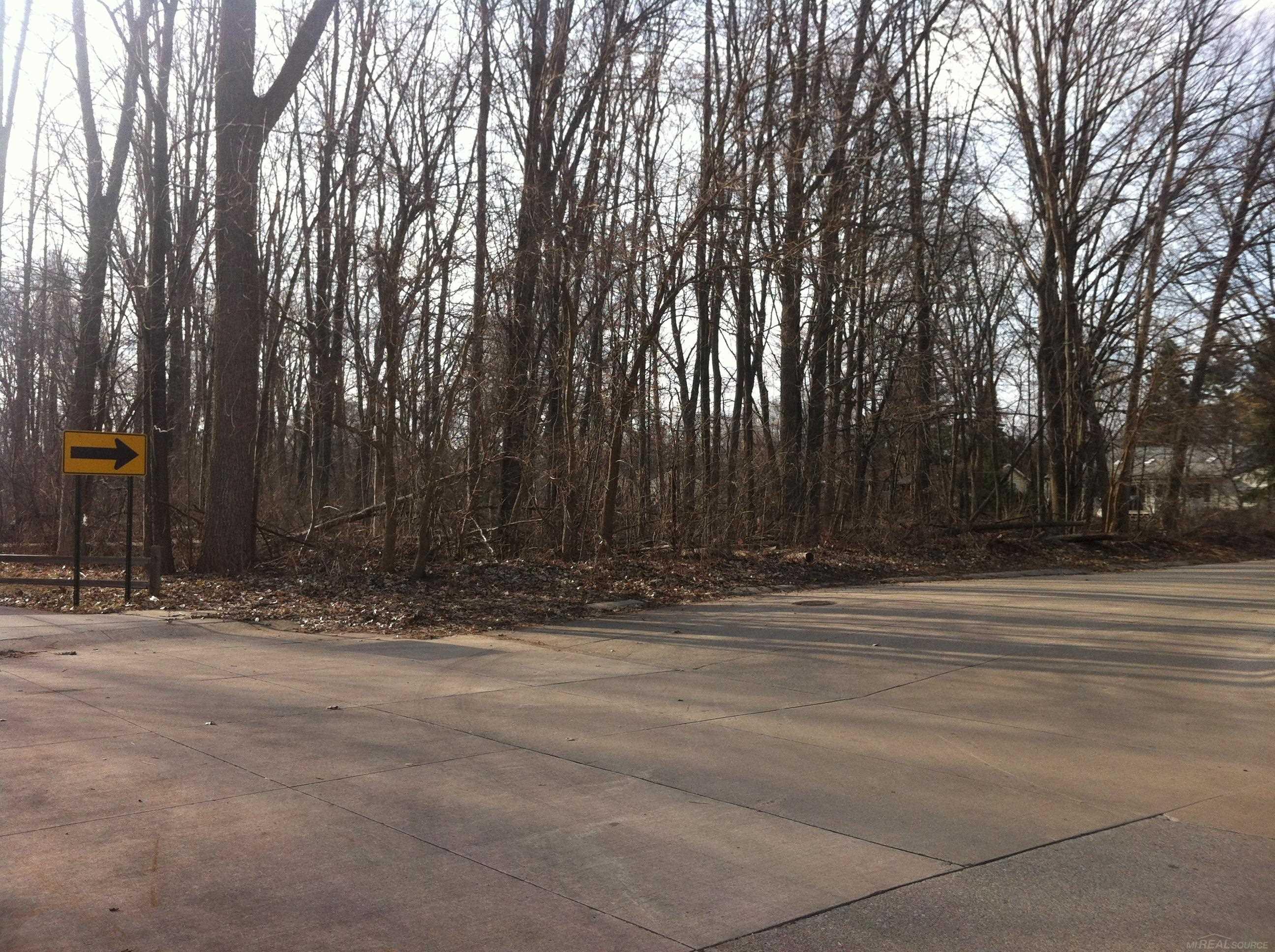 0 Waldo Road Troy, MI 48085 - Photo 2 of 9 Gallery Image 2