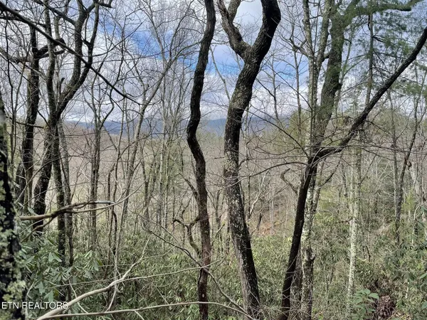 $68,000 | 0 Walnut Flats Road, Walland, TN 37886