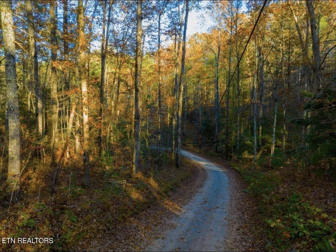 0 Walnut Flats Road Walland, TN 37886 - Photo 11 of 12 11