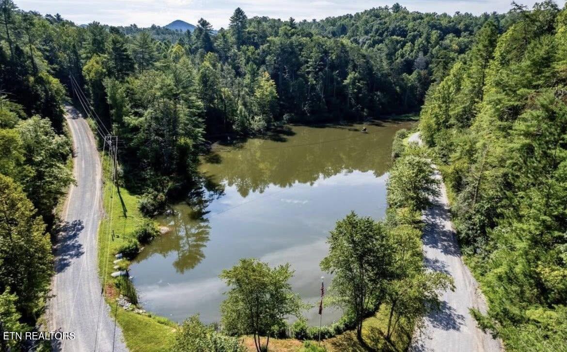 0 Walnut Flats Road Walland, TN 37886 - Photo 12 of 12 12