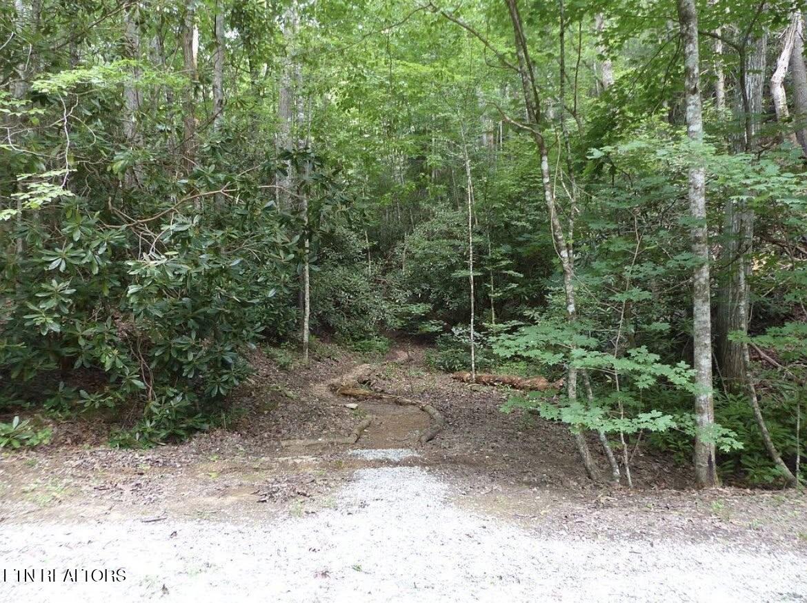 0 Walnut Flats Road Walland, TN 37886 - Photo 4 of 12 4