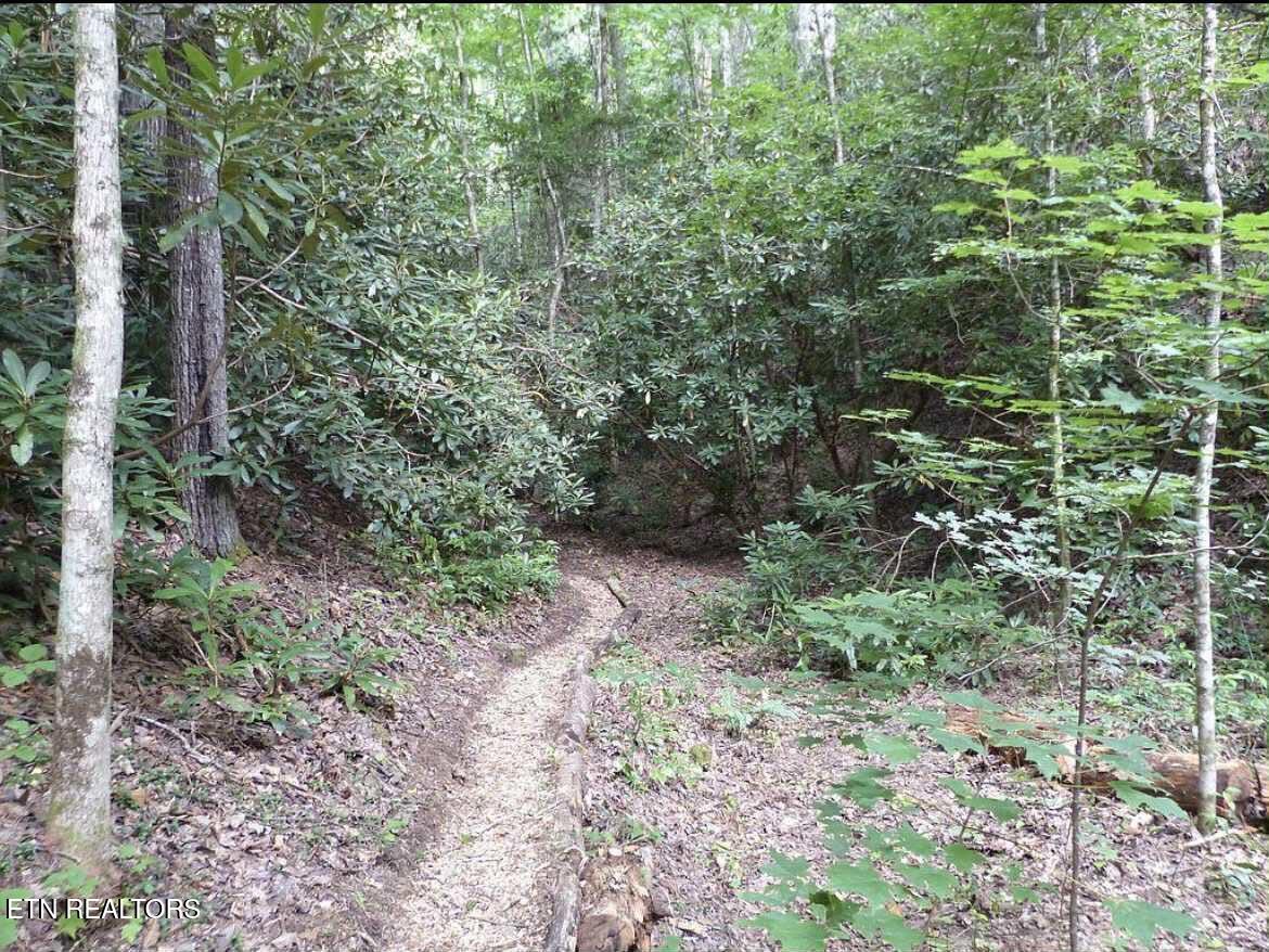0 Walnut Flats Road Walland, TN 37886 - Photo 5 of 12 5