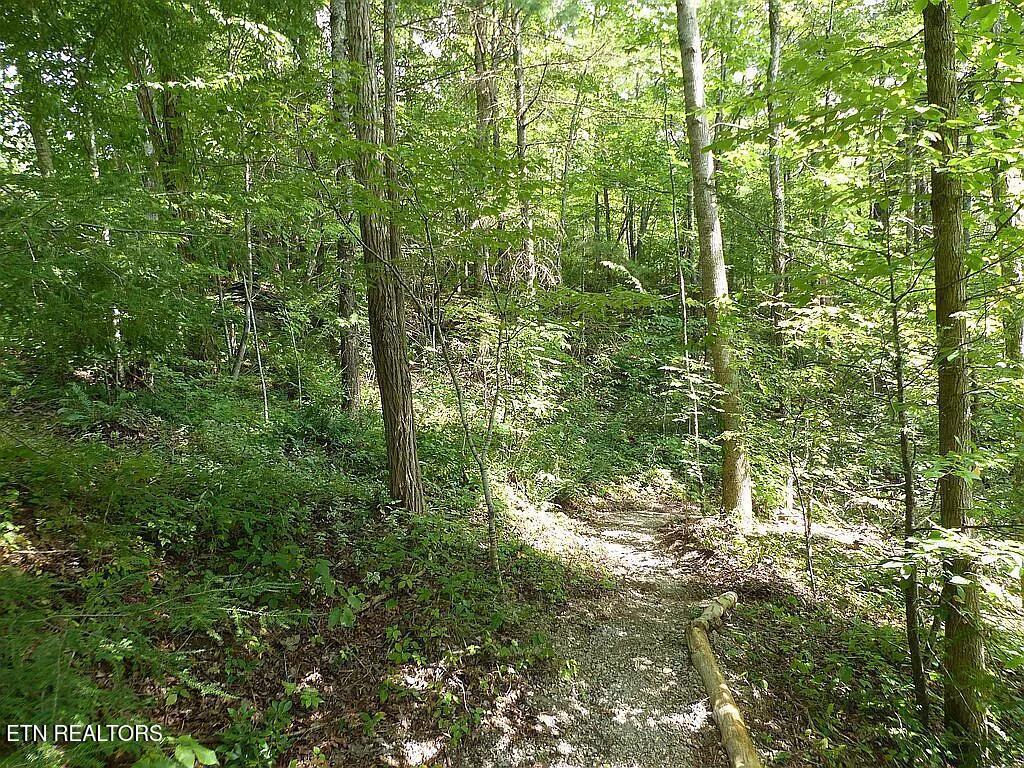 0 Walnut Flats Road Walland, TN 37886 - Photo 6 of 12 6