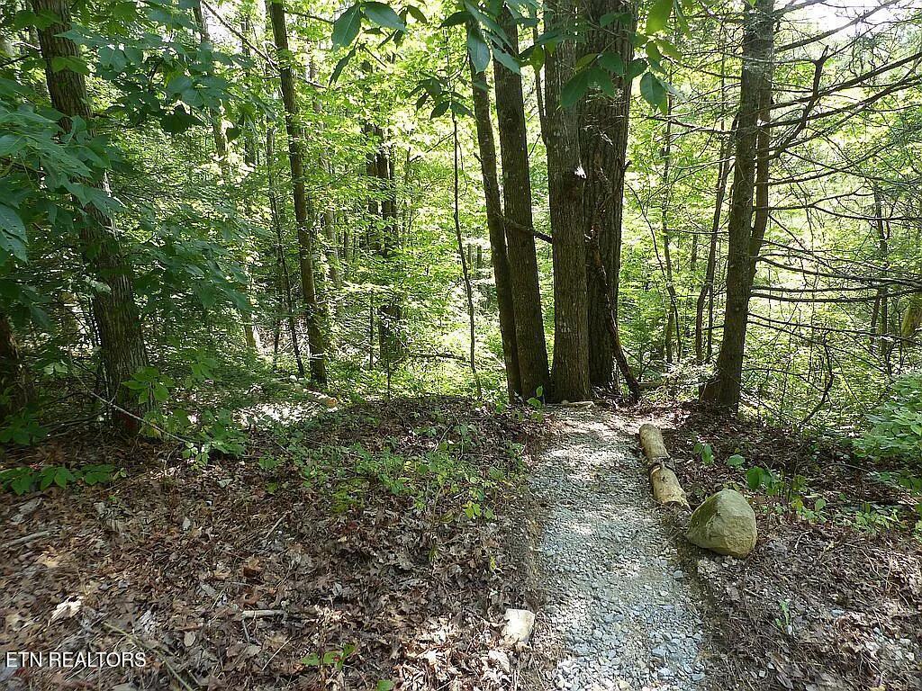 0 Walnut Flats Road Walland, TN 37886 - Photo 7 of 12 7