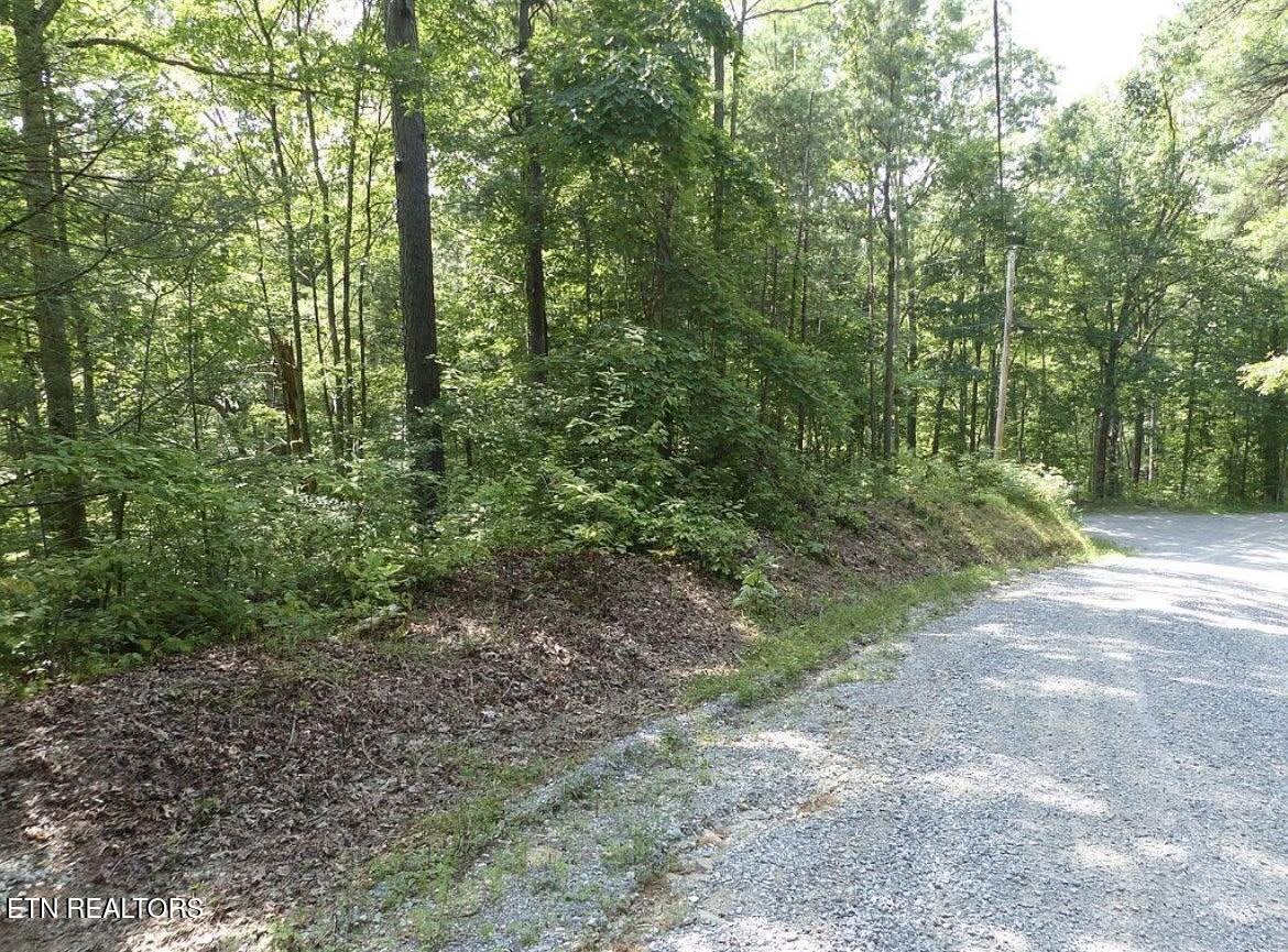 0 Walnut Flats Road Walland, TN 37886 - Photo 8 of 12 8