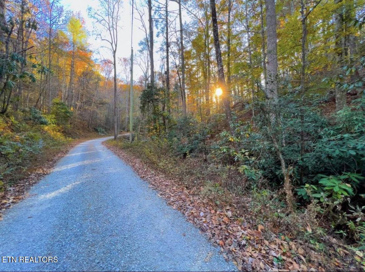 0 Walnut Flats Road Walland, TN 37886 - Photo 10 of 12 10