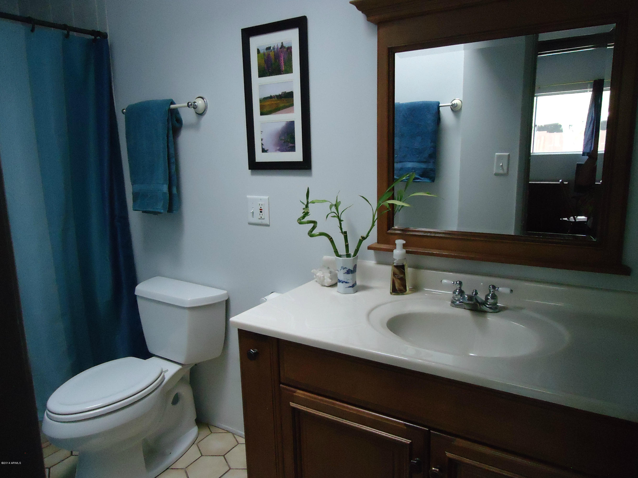 1701 East Mountain View Road Phoenix, AZ 85020 - Photo 23 of 34 DSC00948