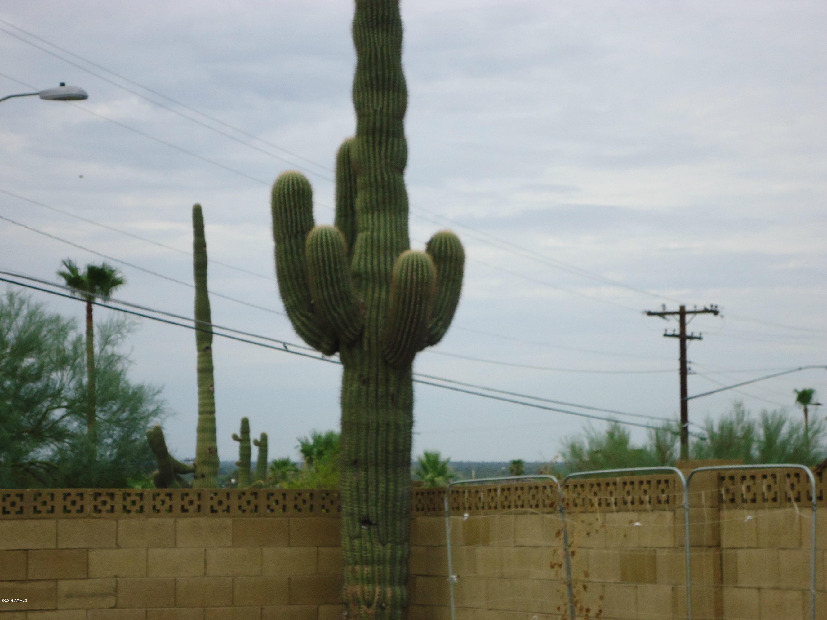 1701 East Mountain View Road Phoenix, AZ 85020 - Photo 29 of 34 DSC00954