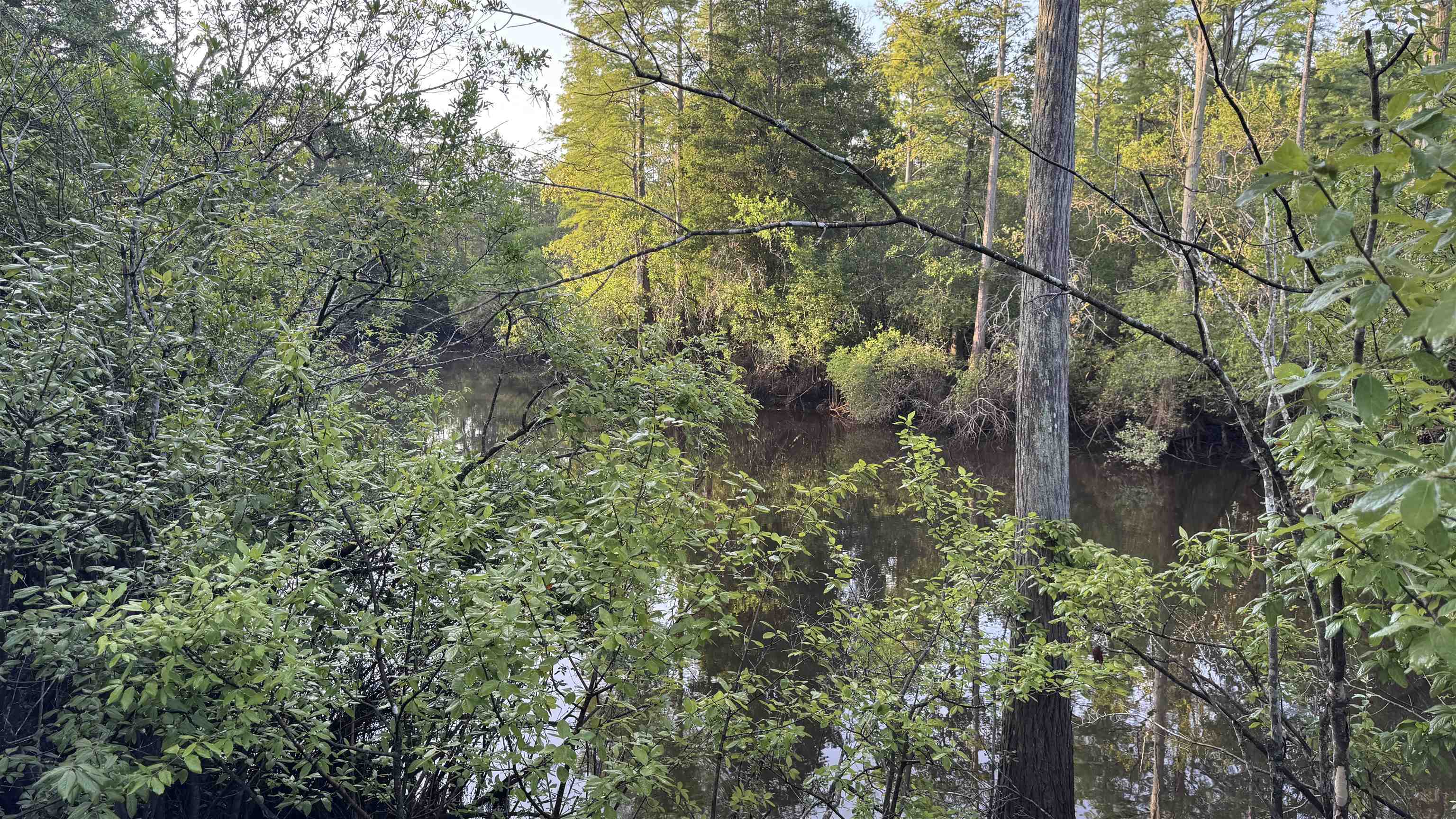 1050 Cedar Creek Landing Road Mount Vernon, AL 36560 - Photo 38 of 59 View