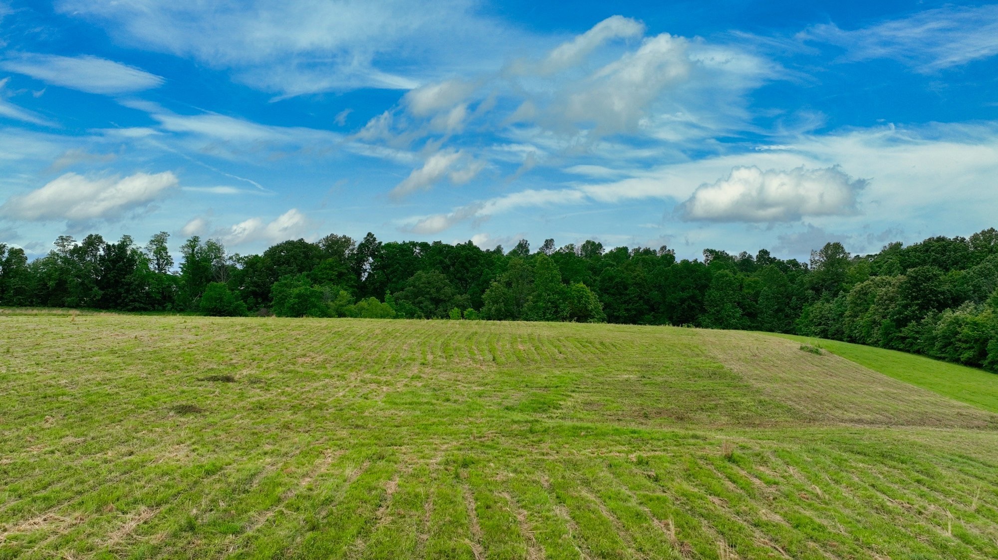 192 Nubia Road Westmoreland, TN 37186 - Photo 12 of 16