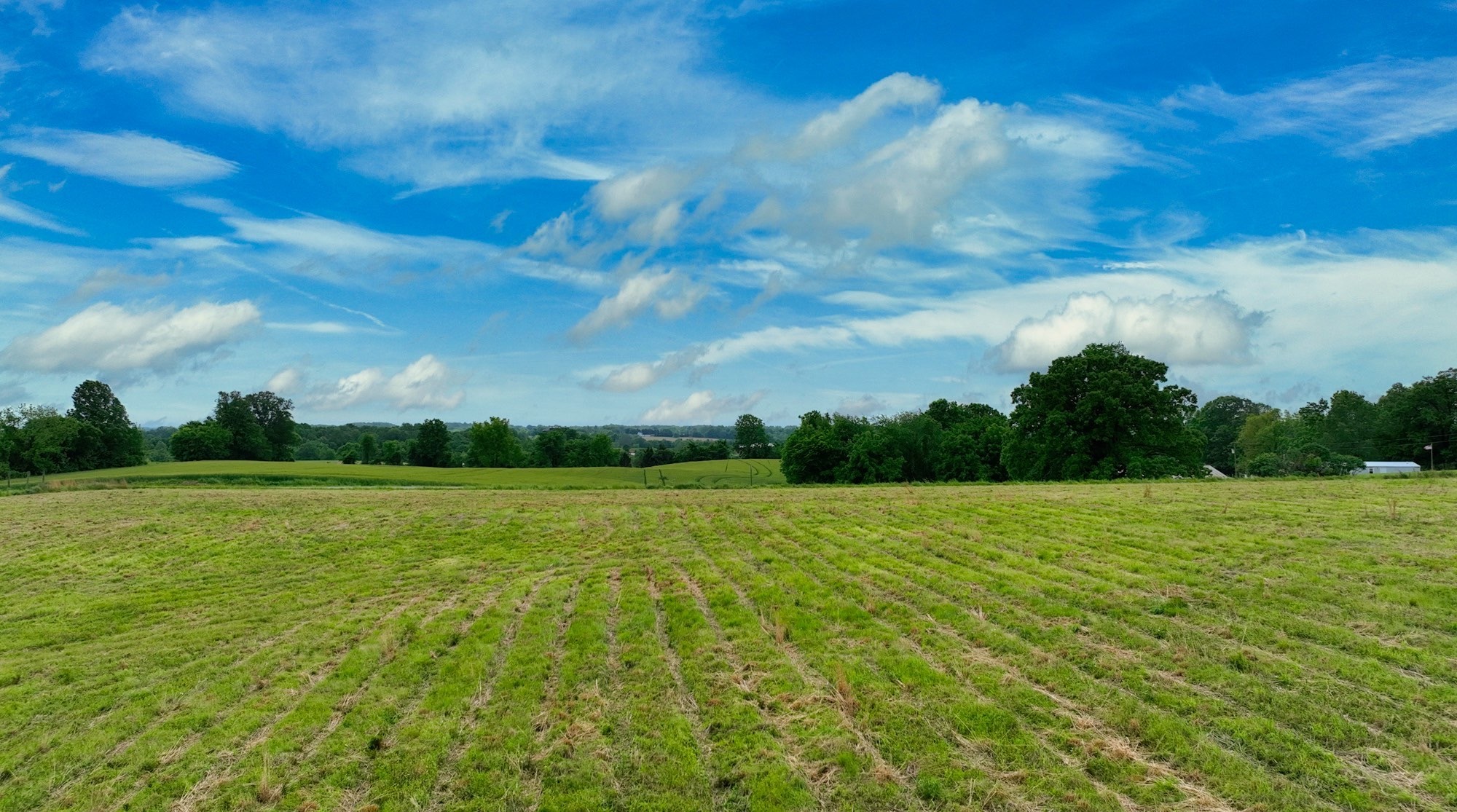 192 Nubia Road Westmoreland, TN 37186 - Photo 3 of 16