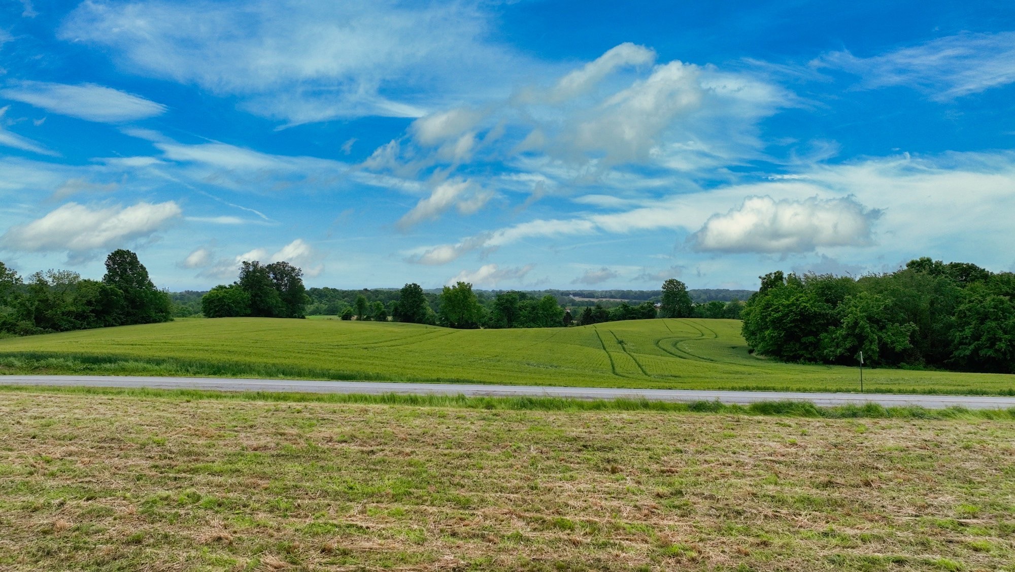 192 Nubia Road Westmoreland, TN 37186 - Photo 7 of 16