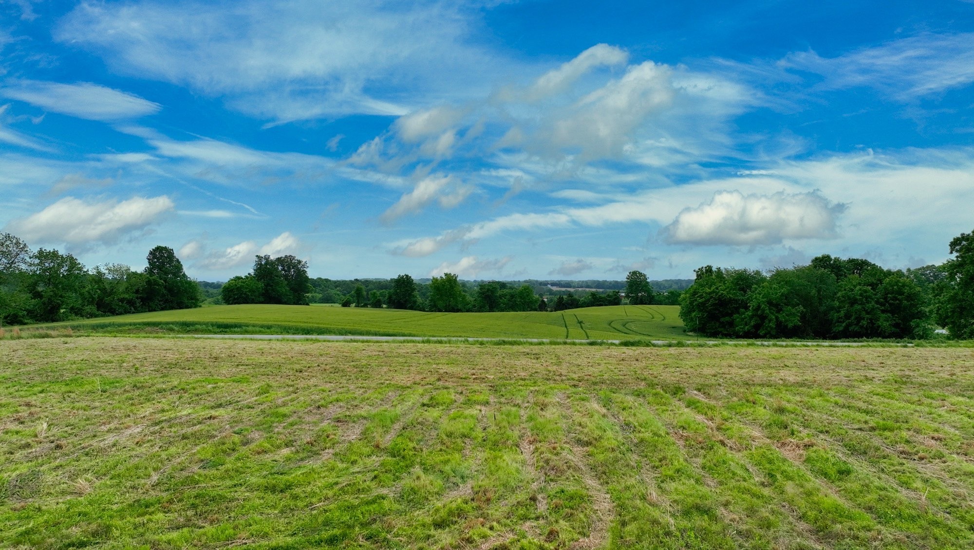 192 Nubia Road Westmoreland, TN 37186 - Photo 8 of 16