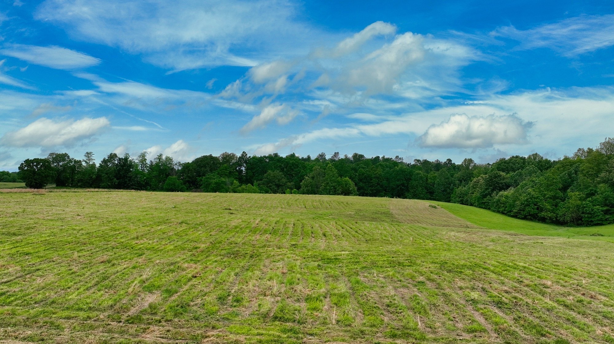 192 Nubia Road Westmoreland, TN 37186 - Photo 9 of 16