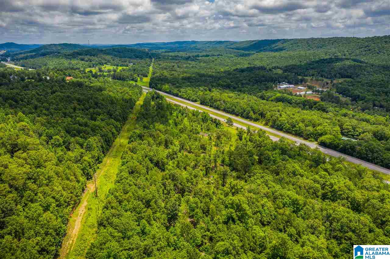 0 Highway 75, Unit 5032 Oneonta, AL 35121 - Photo 9 of 18