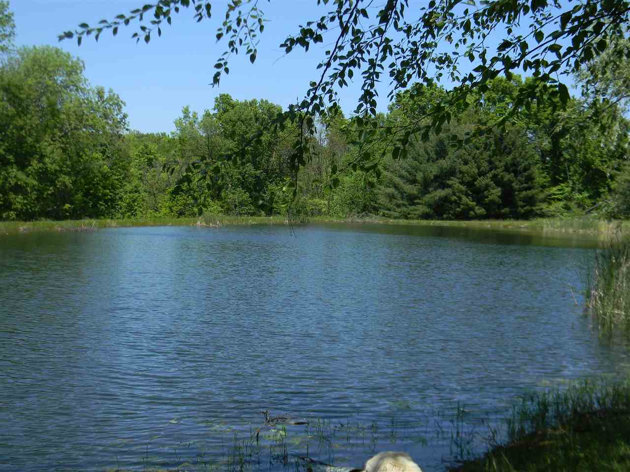 3612 Close Road Spencer, IN 47460 - Photo 2 of 36 Gallery Image 2