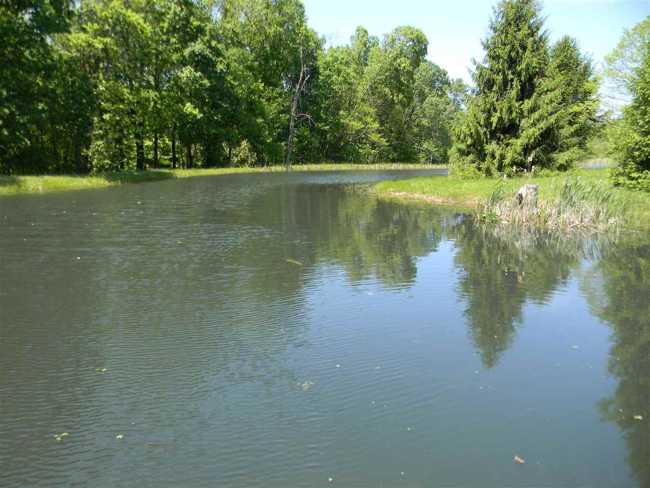 3612 Close Road Spencer, IN 47460 - Photo 3 of 36 Gallery Image 3