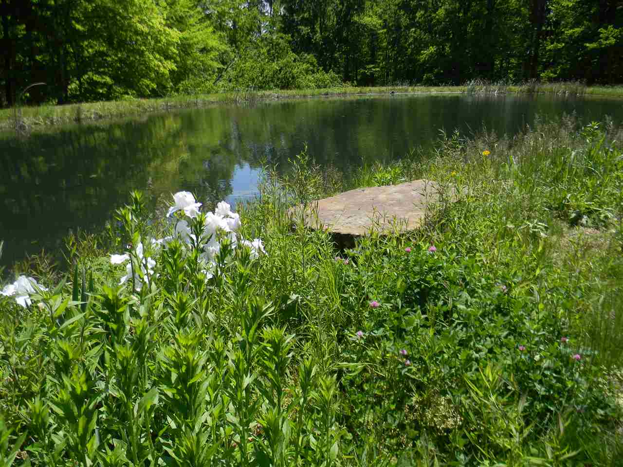 3612 Close Road Spencer, IN 47460 - Photo 5 of 36 Gallery Image 5