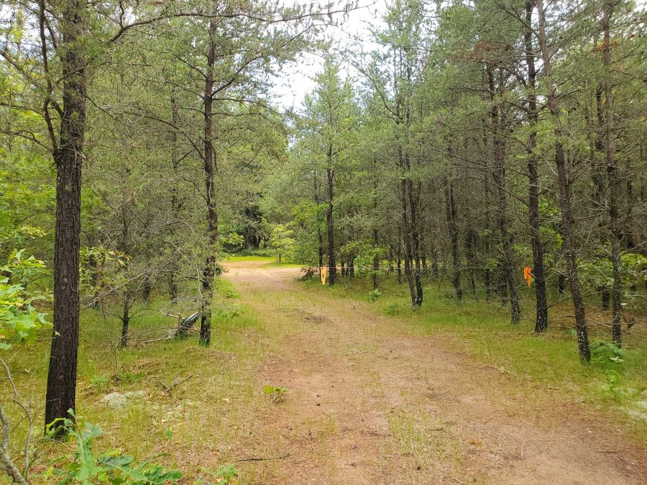 0 Cabin Lake Road West Branch, MI 48661 - Photo 4 of 5 1902033-3.JPG