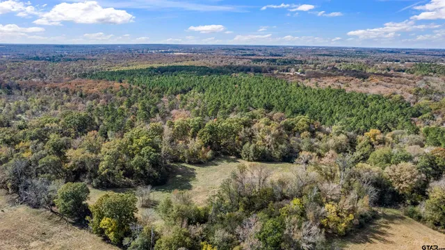 a view of a yard with an outdoor space