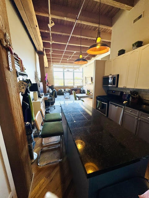 1733 West Irving Park Road, Unit 304 Chicago, IL 60613 - Photo 6 of 13 Gallery Image 6