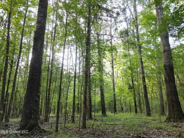 $118,500 | 2435 Highway 43, Canton, MS 39046