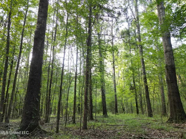 $118,500 | 2435 Highway 43, Canton, MS 39046