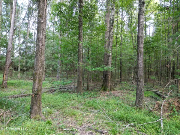 $118,500 | 2435 Highway 43, Canton, MS 39046