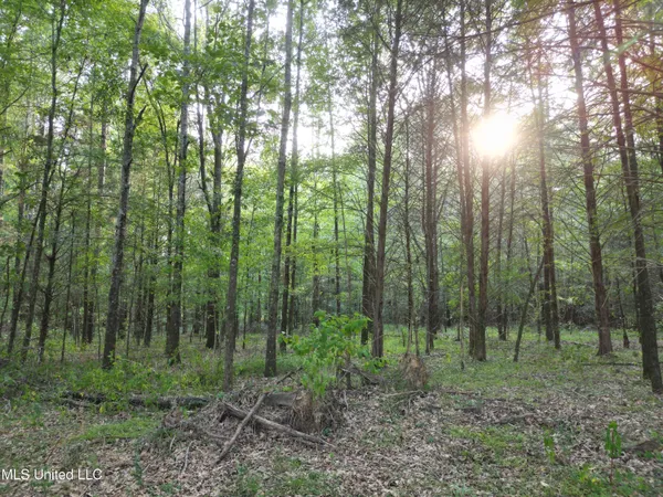 $118,500 | 2435 Highway 43, Canton, MS 39046