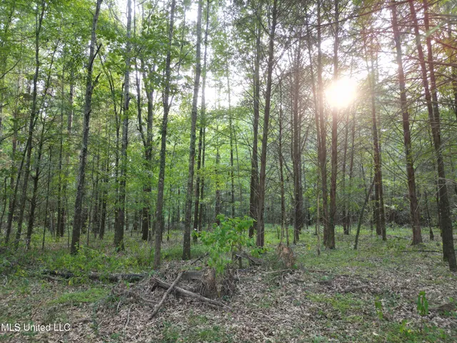 $118,500 | 2435 Highway 43, Canton, MS 39046