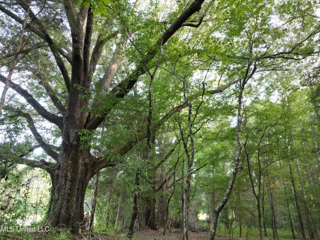 $118,500 | 2435 Highway 43, Canton, MS 39046