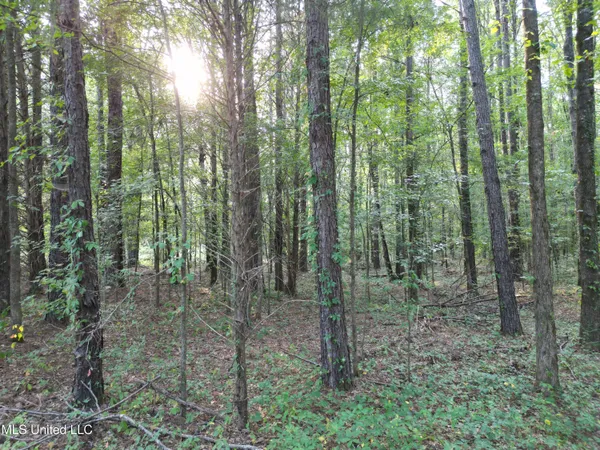 $118,500 | 2435 Highway 43, Canton, MS 39046