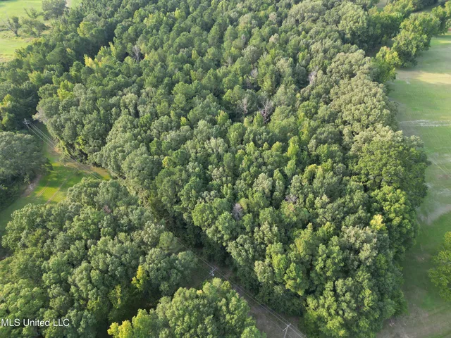 $118,500 | 2435 Highway 43, Canton, MS 39046