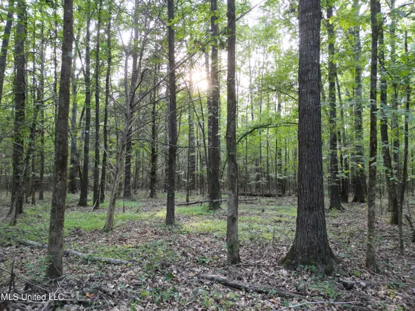 $118,500 | 2435 Highway 43, Canton, MS 39046