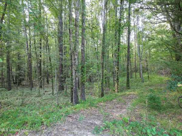 $118,500 | 2435 Highway 43, Canton, MS 39046
