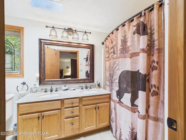 a bathroom with a sink a mirror and a toilet