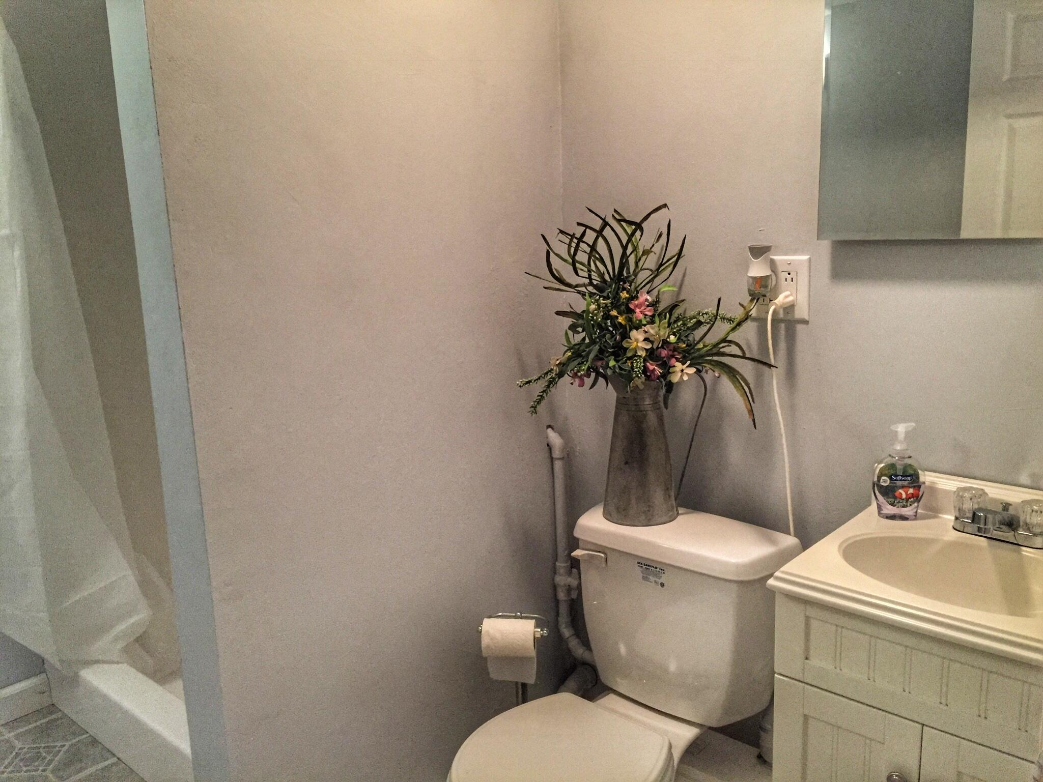 7834 Greenbriar Road Talbott, TN 37877 - Photo 17 of 19 Basement Bathroom