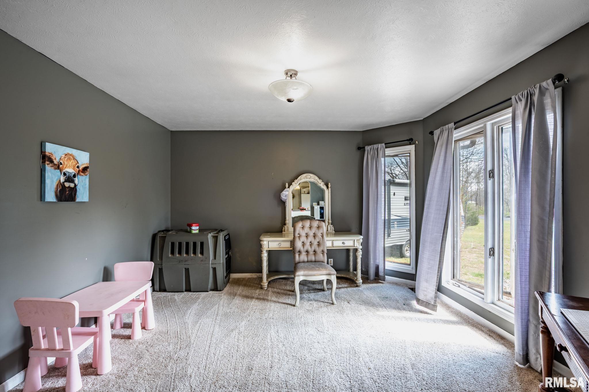 1126 Sycamore Road Carbondale, IL 62901 - Photo 12 of 33