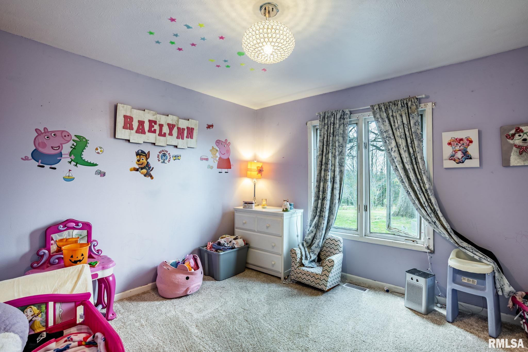 1126 Sycamore Road Carbondale, IL 62901 - Photo 17 of 33