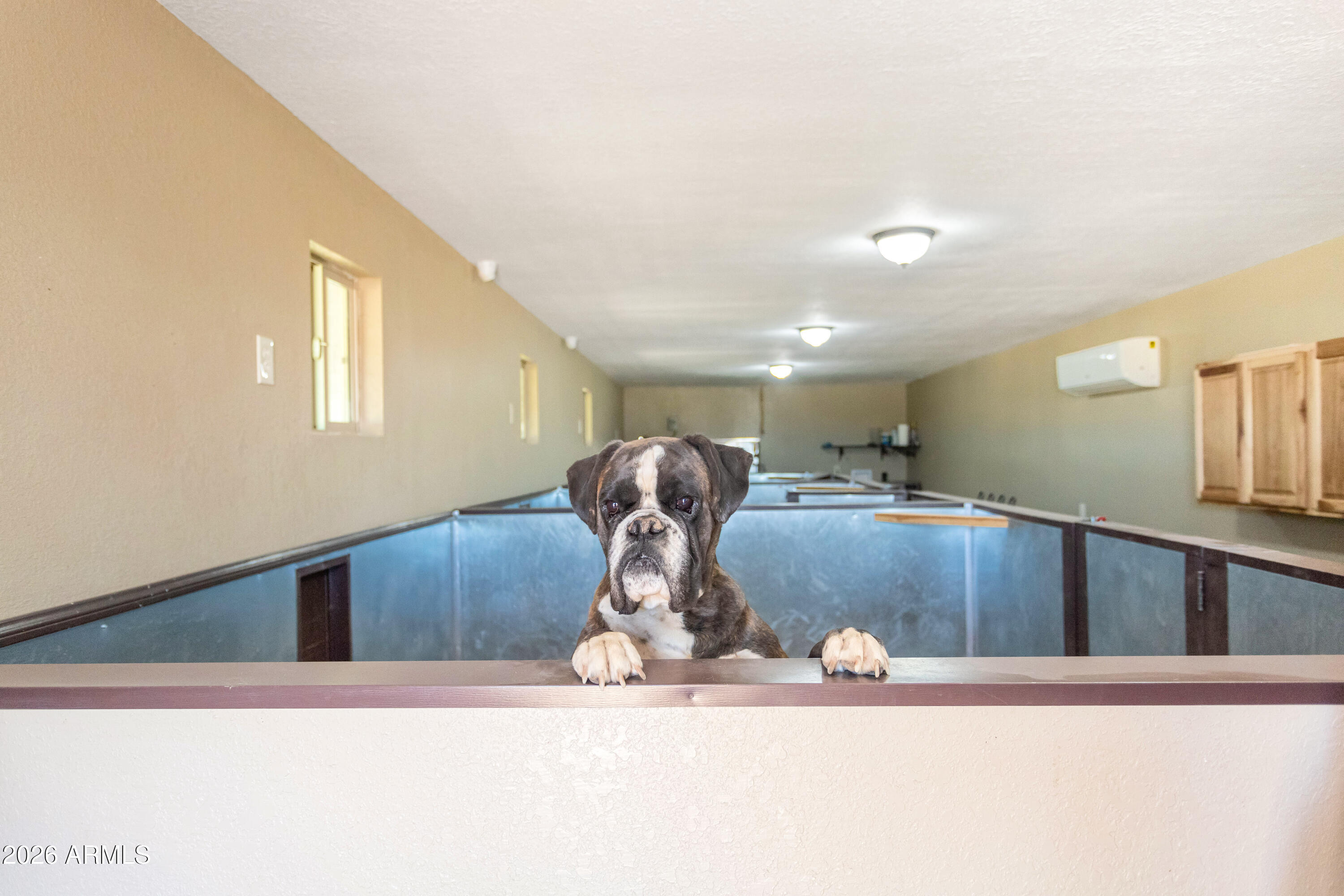 4333 West Dillman Road Elfrida, AZ 85610 - Photo 51 of 68 IMG_5264