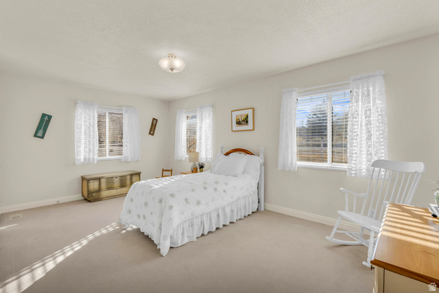 1060 West 2620th Street South Mapleton, UT 84664 - Photo 41 of 87 Carpeted bedroom with baseboards