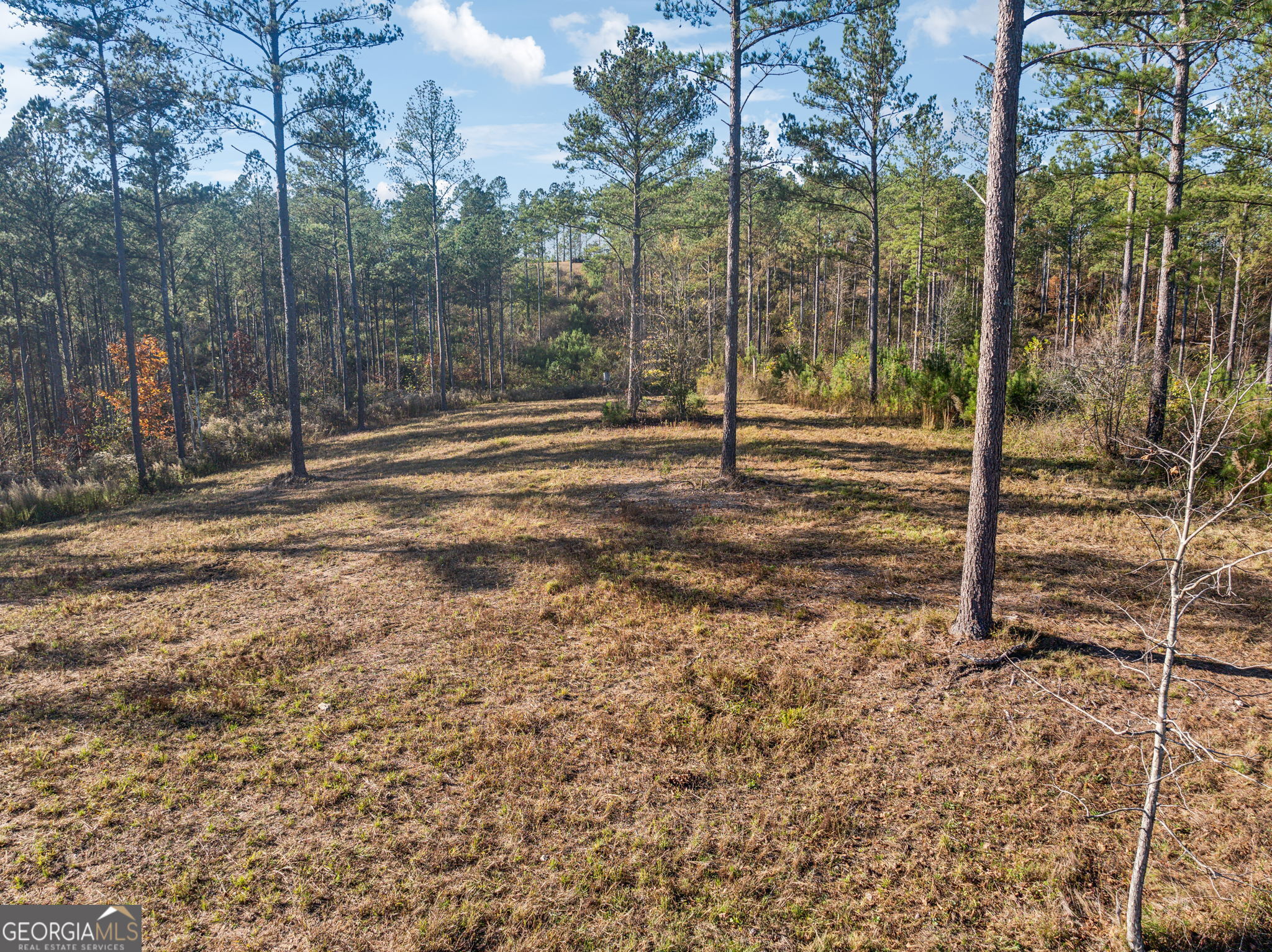 1 Josh Ward Road Summerville, GA 30747 - Photo 11 of 18