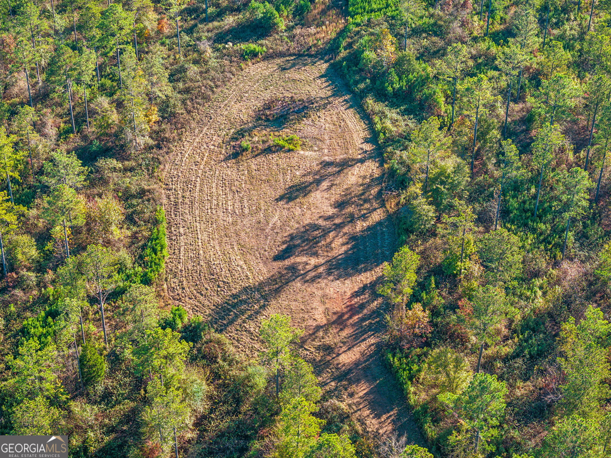 1 Josh Ward Road Summerville, GA 30747 - Photo 15 of 18