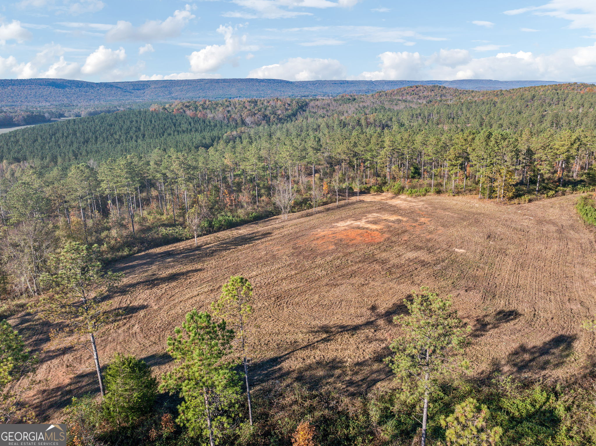 1 Josh Ward Road Summerville, GA 30747 - Photo 16 of 18