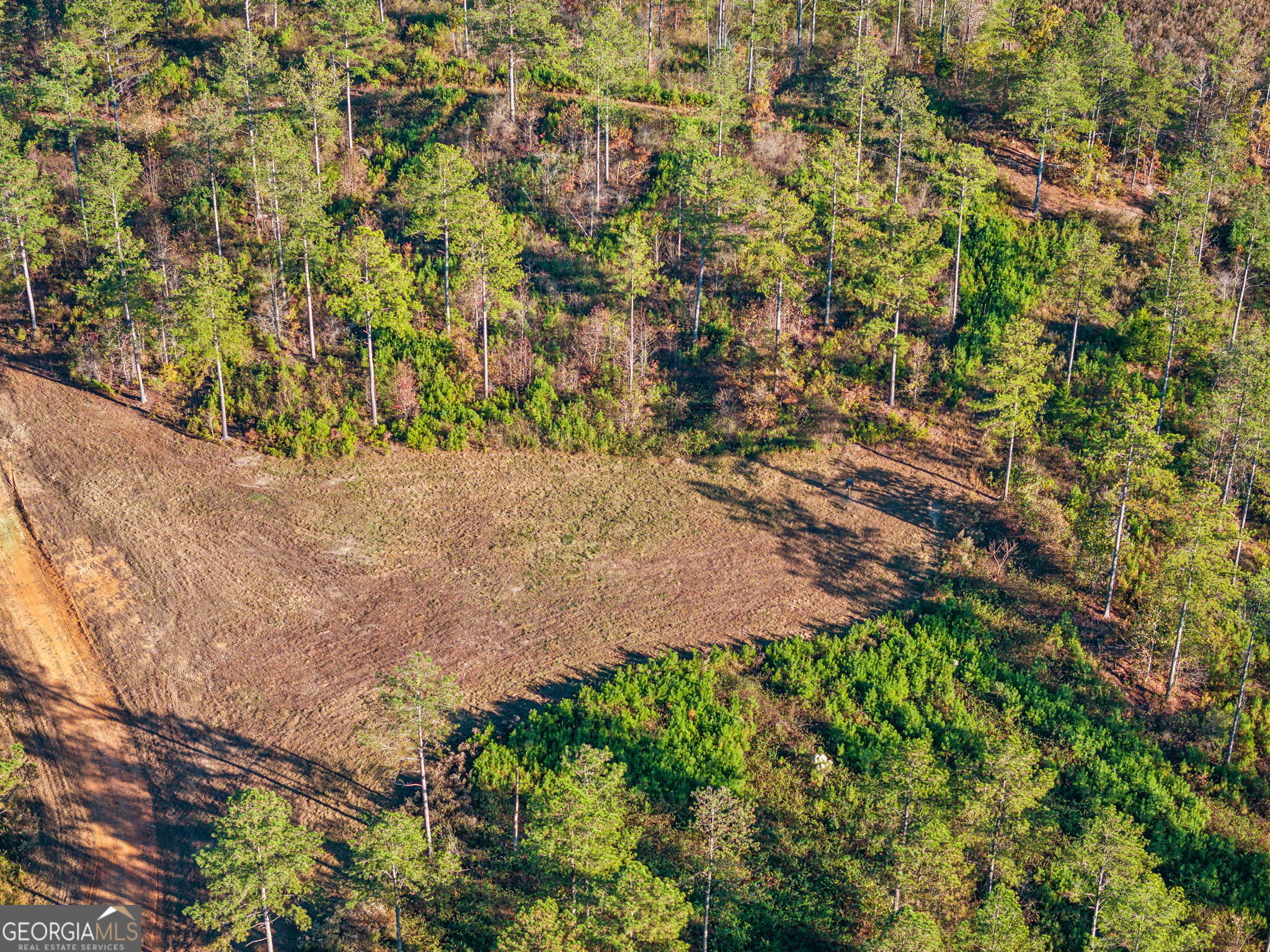 1 Josh Ward Road Summerville, GA 30747 - Photo 17 of 18